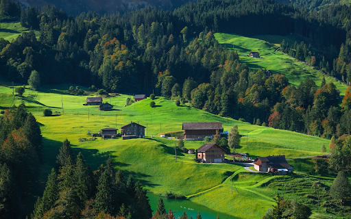 The village is green  from Chrome web store to be run with OffiDocs Chromium online