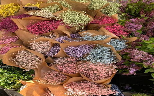 The wallpaper depicts colorful bouquets of flowers  from Chrome web store to be run with OffiDocs Chromium online