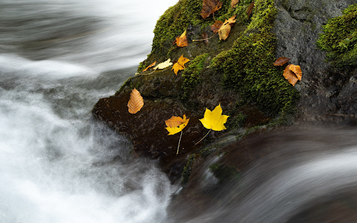 The water flows fast  from Chrome web store to be run with OffiDocs Chromium online