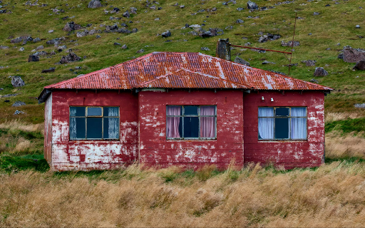 The Wild Red House  from Chrome web store to be run with OffiDocs Chromium online