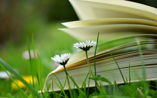 The wind turns the pages of the book  from Chrome web store to be run with OffiDocs Chromium online