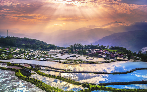 The Yuanyang Rice Terraces  from Chrome web store to be run with OffiDocs Chromium online