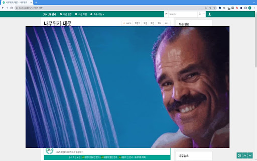 Thou Shalt Not Use Namuwiki  from Chrome web store to be run with OffiDocs Chromium online