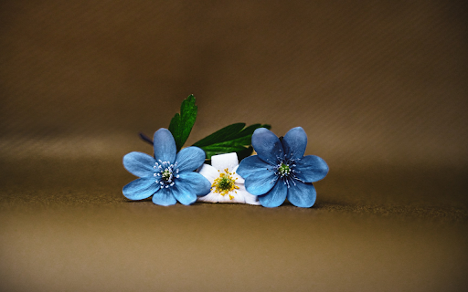 Three flowers  from Chrome web store to be run with OffiDocs Chromium online