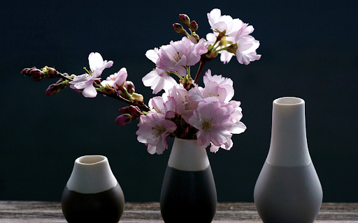 Three flower vases  from Chrome web store to be run with OffiDocs Chromium online