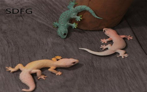 three geckos wallpaper  from Chrome web store to be run with OffiDocs Chromium online