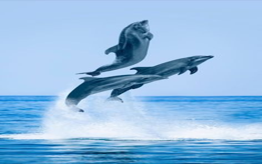 Three whales wallpaper  from Chrome web store to be run with OffiDocs Chromium online