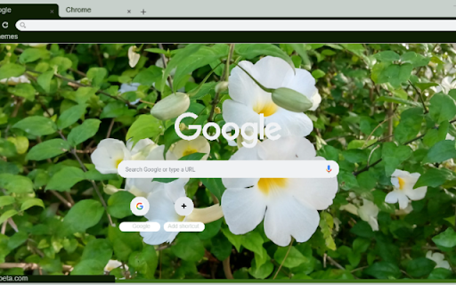 Thunbergia  from Chrome web store to be run with OffiDocs Chromium online