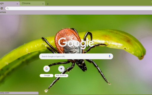 Tick  from Chrome web store to be run with OffiDocs Chromium online