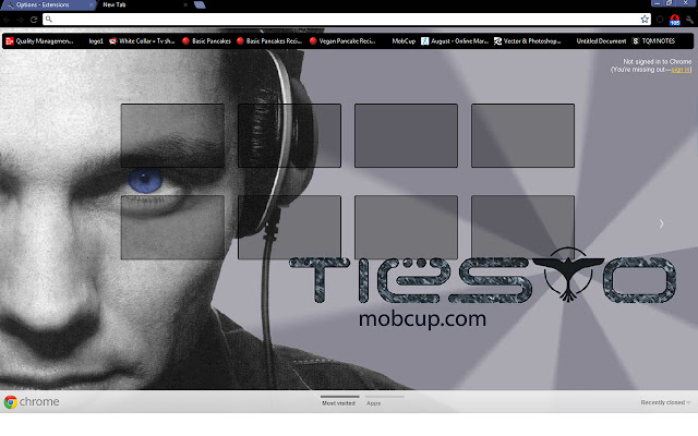 Tiesto (DJ) 1024*768  from Chrome web store to be run with OffiDocs Chromium online