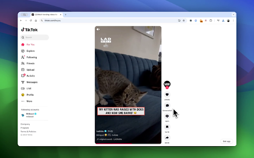 TikShot Extension  from Chrome web store to be run with OffiDocs Chromium online
