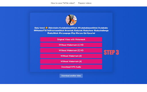 Tiktaklab TikTok Video Downloader  from Chrome web store to be run with OffiDocs Chromium online