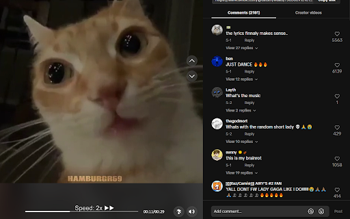 TikTok 2x Speed Option  from Chrome web store to be run with OffiDocs Chromium online