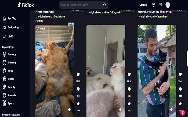 Tiktok Darkmode + Multi Column  from Chrome web store to be run with OffiDocs Chromium online