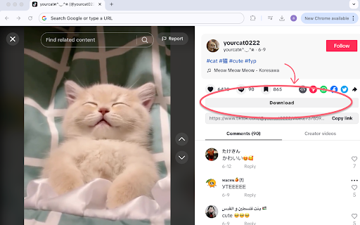 TikTok Downloader  from Chrome web store to be run with OffiDocs Chromium online