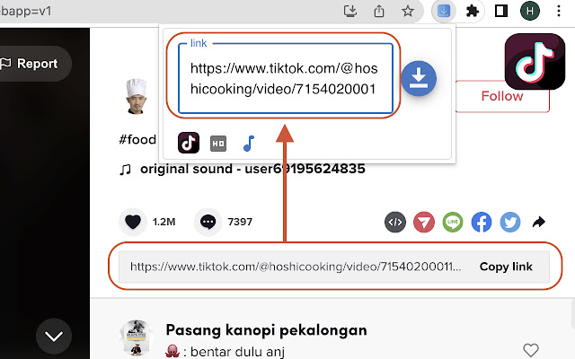 TikTok Downloader HD and Without Watermark  from Chrome web store to be run with OffiDocs Chromium online