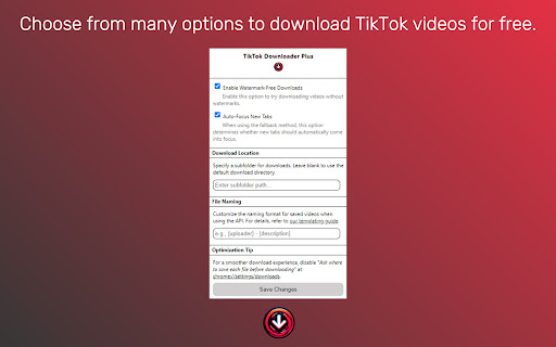 TikTok Downloader Plus  from Chrome web store to be run with OffiDocs Chromium online