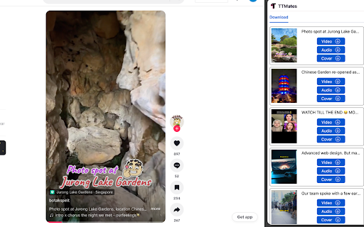 TikTok Download TTMates  from Chrome web store to be run with OffiDocs Chromium online