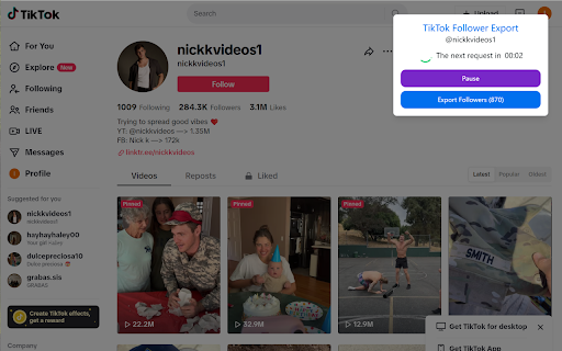 TikTok Follower Export Tool  from Chrome web store to be run with OffiDocs Chromium online
