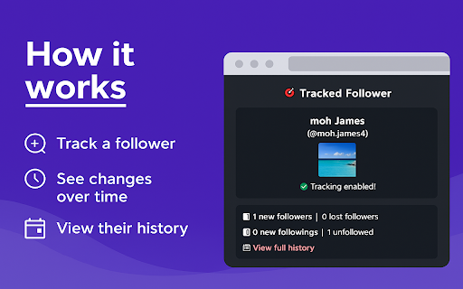 TikTok Followers Tracker  from Chrome web store to be run with OffiDocs Chromium online