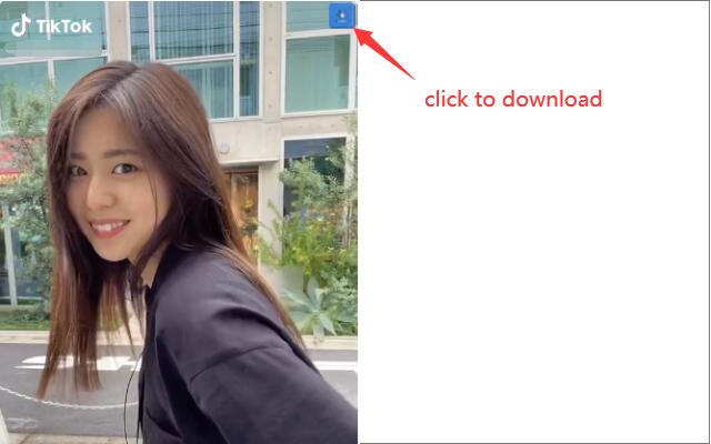 TikTokfull Download Video TikTok No Watermark  from Chrome web store to be run with OffiDocs Chromium online