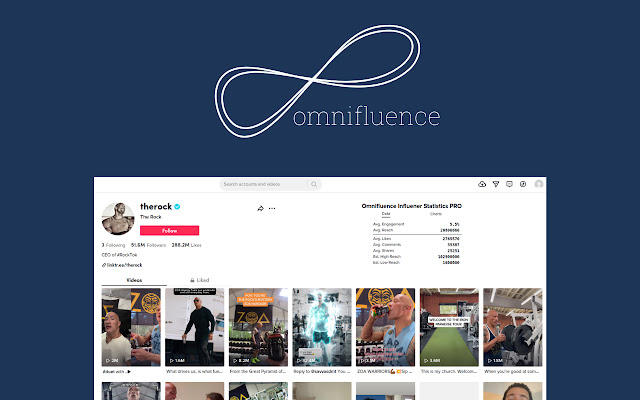 TikTok Influencer Insights | Omnifluence.io  from Chrome web store to be run with OffiDocs Chromium online