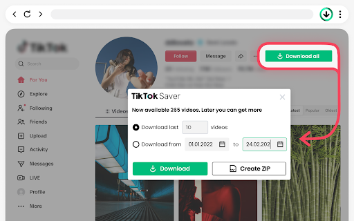 TikTok Saver  from Chrome web store to be run with OffiDocs Chromium online