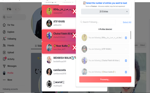Tiktok Unfollower Pro 2025  from Chrome web store to be run with OffiDocs Chromium online