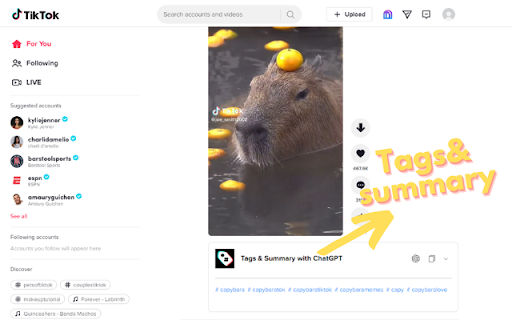 TikTok Video Tags Summary with ChatGPT  from Chrome web store to be run with OffiDocs Chromium online