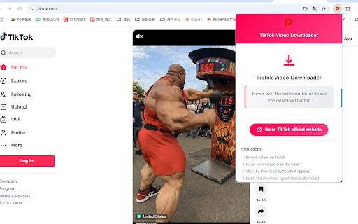 TikTok video watermark free downloader  from Chrome web store to be run with OffiDocs Chromium online