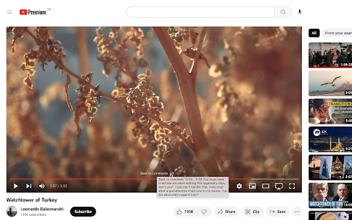 Time Code Jumper for YouTube  from Chrome web store to be run with OffiDocs Chromium online