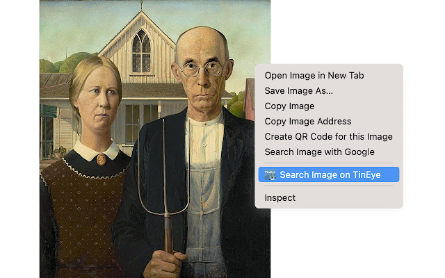 TinEye Reverse Image Search  from Chrome web store to be run with OffiDocs Chromium online