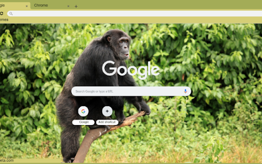 Tinh Tinh  from Chrome web store to be run with OffiDocs Chromium online