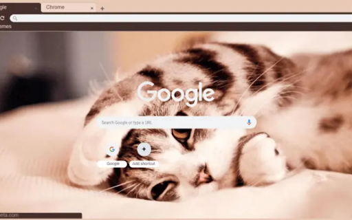 tired cat  from Chrome web store to be run with OffiDocs Chromium online