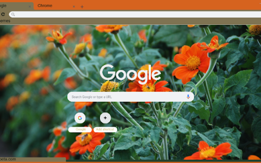 Tithonia Torch  from Chrome web store to be run with OffiDocs Chromium online