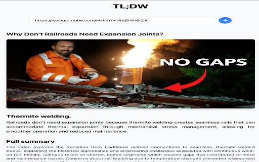 TL;DW  from Chrome web store to be run with OffiDocs Chromium online