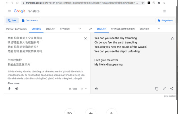 tnua no language (for google translate)  from Chrome web store to be run with OffiDocs Chromium online