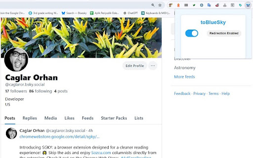 toBlueSky from Chrome web store to be run with OffiDocs Chromium online toBlueSky from Chrome web store to be run with OffiDocs Chromium online