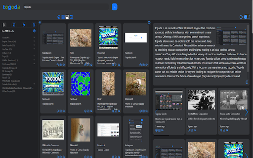 togoda extension  from Chrome web store to be run with OffiDocs Chromium online