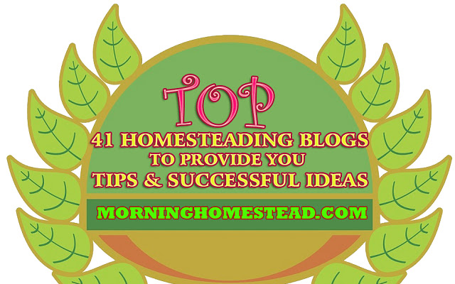 Top Homesteading Blogs  from Chrome web store to be run with OffiDocs Chromium online