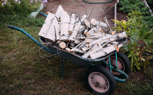 Tortoise cart carrying wood  from Chrome web store to be run with OffiDocs Chromium online