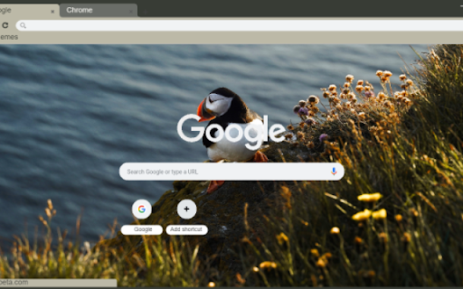 Toucan  from Chrome web store to be run with OffiDocs Chromium online