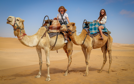 Tourists ride camels  from Chrome web store to be run with OffiDocs Chromium online