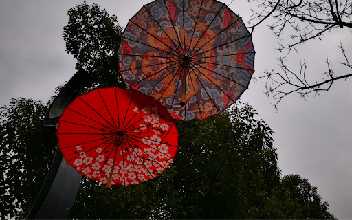 Traditional Umbrellas Display  from Chrome web store to be run with OffiDocs Chromium online