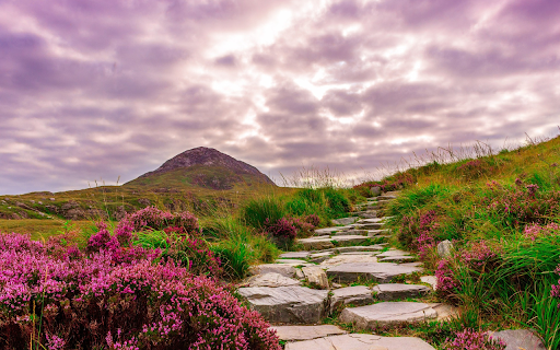 Trails  from Chrome web store to be run with OffiDocs Chromium online