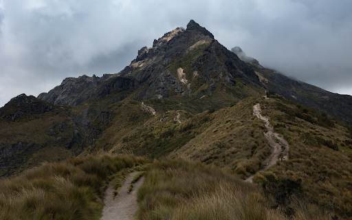 trail up the mountain  from Chrome web store to be run with OffiDocs Chromium online