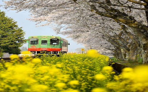 Train among the flower forest wallpapers  from Chrome web store to be run with OffiDocs Chromium online