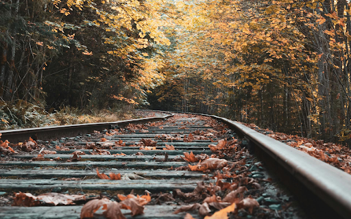 Train Tracks with Trees  from Chrome web store to be run with OffiDocs Chromium online