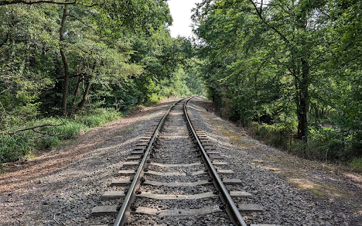 Train track through the forest  from Chrome web store to be run with OffiDocs Chromium online