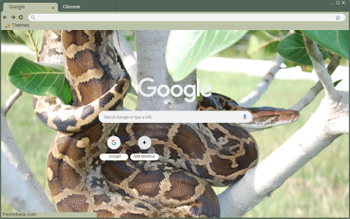 Tran  from Chrome web store to be run with OffiDocs Chromium online